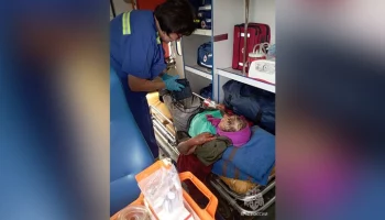 В Калининградской области нашли пенсионерку, которая неделю провела в лесу