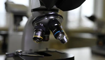 &laquo;Болезнь Х&raquo;: врач Кукадиа рассказал о возможном возбудителе новой пандемии