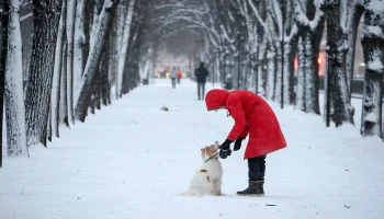 &laquo;Желтый&raquo; уровень опасности будет действовать в Москве до конца зимы
