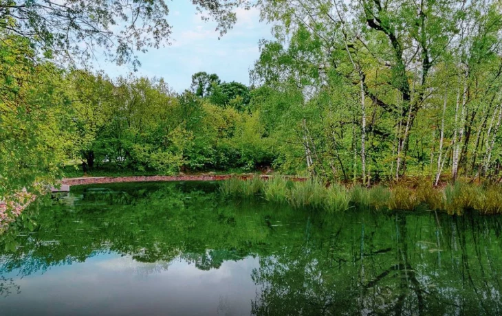 Собянин: Каскад из пяти прудов в «Сокольниках» до конца года приведут в порядок Собянин: Каскад из пяти прудов в «Сокольниках» до конца года приведут в порядок