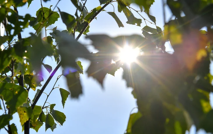 Связность природных территорий станет приоритетом развития зеленых зон Москвы Связность природных территорий станет приоритетом развития зеленых зон Москвы