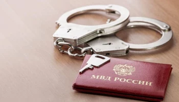 Житель Йошкар-Олы задержан по делу о мошенничестве в отношении Ларисы Долиной