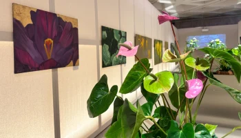 Москвичи могут увидеть цветочные шедевры Айвазяна в &laquo;Биокластере&raquo; на ВДНХ