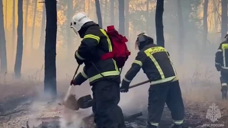 Природный пожар в Станично-Луганском районе ЛНР потушен