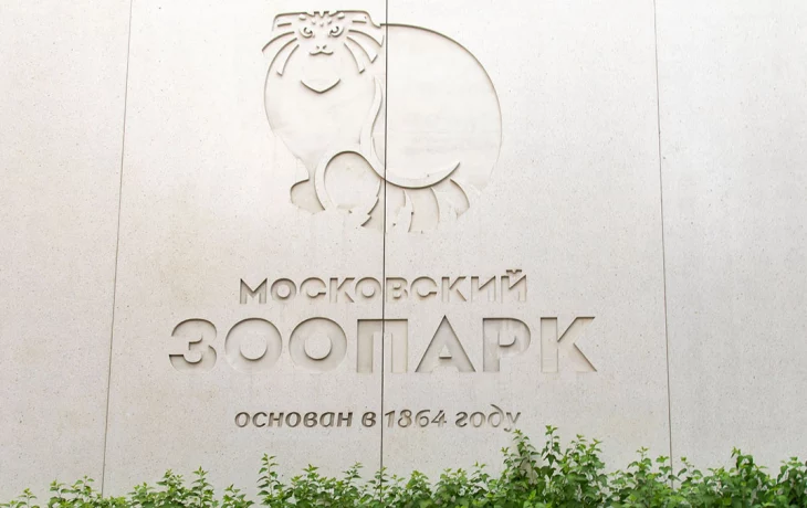 &laquo;Наша красавица&raquo;: в Московском зоопарке показали вблизи бурую гиену Ладу