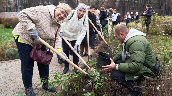 Более 30 тысяч многолетников высадили в разных районах Москвы Более 30 тысяч многолетников высадили в разных районах Москвы