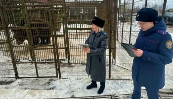 Медведь убил упавшего в его клетку рабочего в Смоленской области