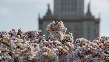 Синоптик рассказала, ждать ли москвичам опасных погодных явлений на неделе Синоптик рассказала, ждать ли москвичам опасных погодных явлений на неделе