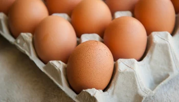 В Госдуме объяснили причину отказа от продажи импортных яиц в торговых точках РФ