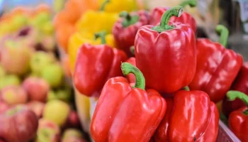 Участница московских ярмарок оказывает поддержку бойцам СВО