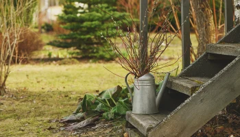 Подзимний посев приносит хороший результат: что посадить на огороде поздней осенью Подзимний посев приносит хороший результат: что посадить на огороде поздней осенью