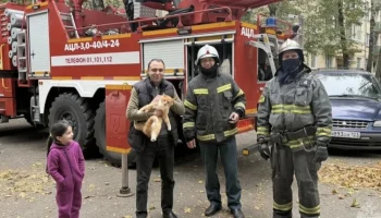 Спасатели сняли кота по кличке Василий с дерева в Красногорске