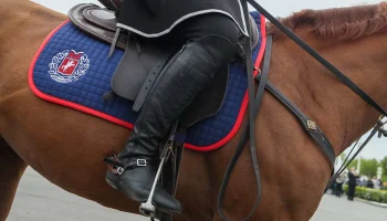 FEI допустила российских юниоров к участию в турнирах с флагом и гимном