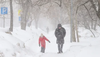 Синоптик Тишковец рассказал, когда будет пик снегопада в Москве