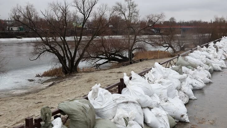 Вода в Тоболе в курганском селе Звериноголовском за 4 часа прибыла на 19 см Вода в Тоболе в курганском селе Звериноголовском за 4 часа прибыла на 19 см