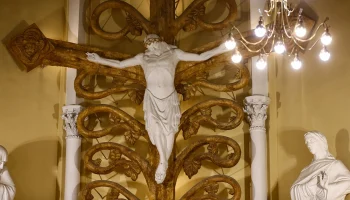 В Сосновецкой епархии Католической церкви Польши выявили 29 педофилов