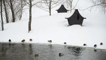 Синоптик Вильфанд: Приход весеннего тепла затянется из-за высоких сугробов