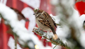 Метеоролог Позднякова предупредила о резкой смене погоды в Москве в выходные
