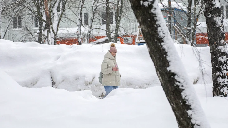Синоптики сообщили о снежной и ветреной погоде в Москве 4 марта Синоптики сообщили о снежной и ветреной погоде в Москве 4 марта