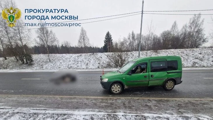 Водитель насмерть сбил лося в Зеленограде Водитель насмерть сбил лося в Зеленограде