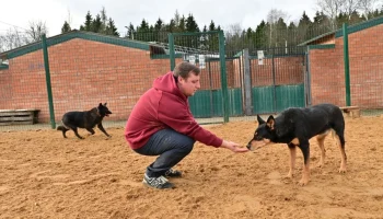 Благотворительный проект &laquo;Пушистый марафон&raquo; стартовал в ТиНАО
