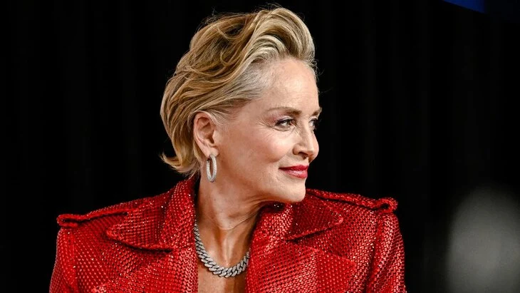 TheWrap: Шэрон Стоун может вернуться к роли в перезапуске "Основного инстинкта" TheWrap: Шэрон Стоун может вернуться к роли в перезапуске "Основного инстинкта"