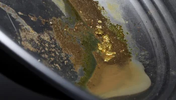 AFP: 48 человек погибли при обрушении на золотом руднике в Мали