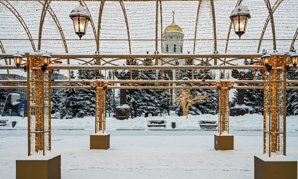Синоптики сообщили о снежной и теплой погоде в Москве 19 января