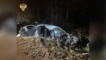 Десятимесячная девочка скончалась в больнице после ДТП в Подмосковье