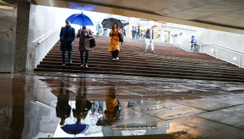 Синоптики спрогнозировали дождь и до 9 градусов тепла в Москве 30 октября