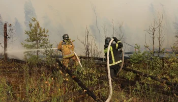 Природному пожару в Анапе присвоили повышенный ранг сложности Природному пожару в Анапе присвоили повышенный ранг сложности