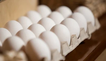 ФАС напомнила о запрете на необоснованное повышение цен на яйца