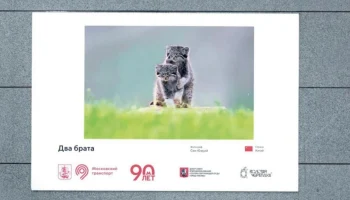 Лучшие работы фестиваля дикой природы «Золотая черепаха» представили в метро Лучшие работы фестиваля дикой природы «Золотая черепаха» представили в метро