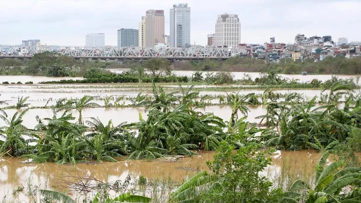 Associated Press: 141 человек стал жертвой тайфуна "Яги" во Вьетнаме Associated Press: 141 человек стал жертвой тайфуна "Яги" во Вьетнаме