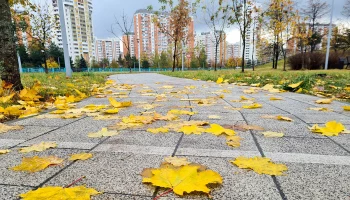 Короткое похолодание: какой будет погода в Москве в первую неделю октября