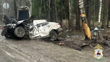 Трое человек погибли в ДТП в Нижегородской области