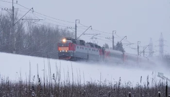 &laquo;Это кот, не ручная кладь&raquo;: хозяин погибшего Твикса раскрыл подробности его пропажи