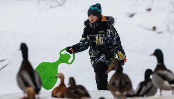 Москвичам рассказали о мерах безопасности во время прогулок по зимним паркам