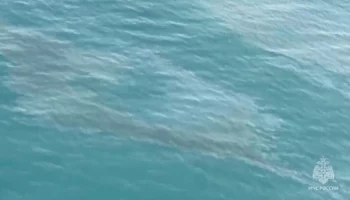 Новые нефтяные пятна обнаружены в Черном море у побережья Анапы и в Крыму