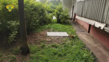 Годовалый ребенок выпал из окна четвертого этажа в Москве