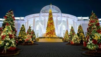 Московские поликлиники и больницы начали украшать к Новому году