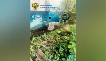 Ребенок выпал из окна на Ореховом бульваре в Москве