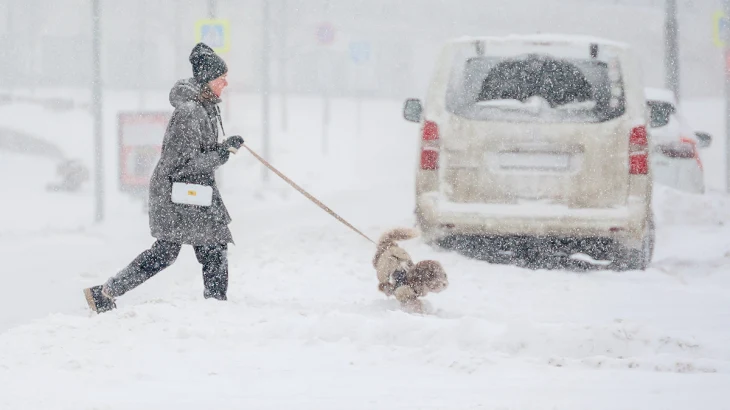 В Госдуме назвали погодные условия, при которых на работе не поставят прогул В Госдуме назвали погодные условия, при которых на работе не поставят прогул