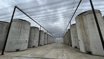 Гендиректор МАГАТЭ Гросси заявил о перемирии между Россией и Украиной возле ЗАЭС