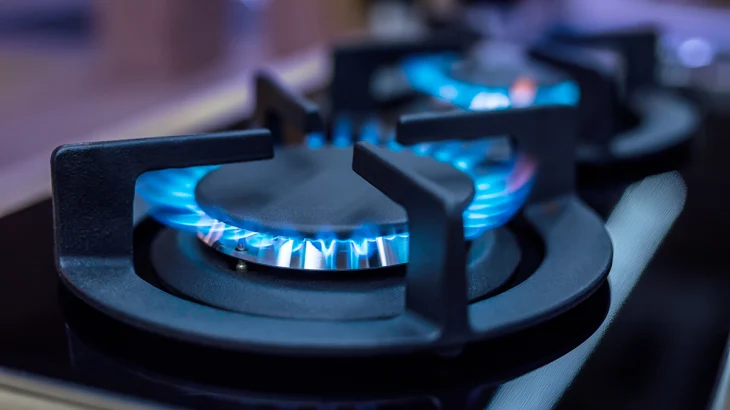 Газовщикам могут разрешить заходить в квартиры в случае отказа хозяина Газовщикам могут разрешить заходить в квартиры в случае отказа хозяина