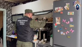 СК: причиной смерти четырех детей в Красноярском крае стало отравление инсектицидами