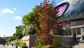 Здание ТАСС и футбольный сад у ВТБ Арена: чем удивят новые локации фестиваля &laquo;Сады и Цветы&raquo;