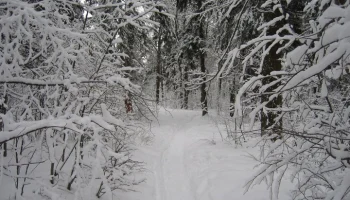 Группа туристов пропала на пермской горе Ослянка Группа туристов пропала на пермской горе Ослянка