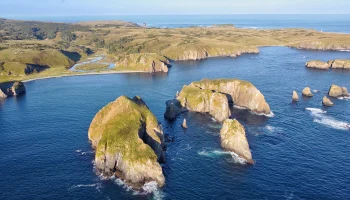 У побережья Курильских островов зафиксировали землетрясение магнитудой 7,6