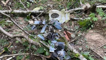 ТАСС: причиной крушения SSJ 100 могло стать попадание птиц в двигатель самолета